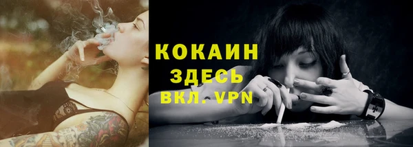 трава Белокуриха