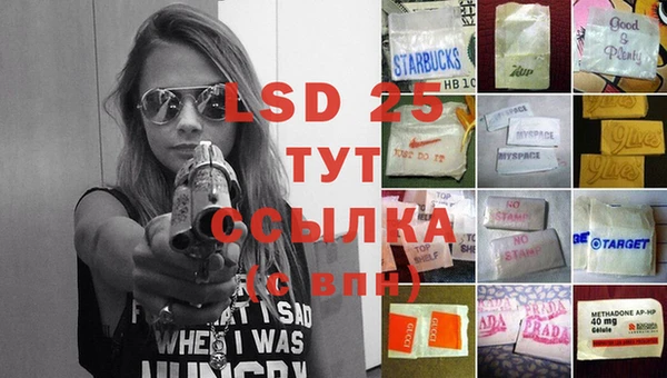 трава Белокуриха