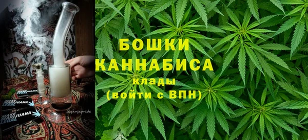 трава Белокуриха