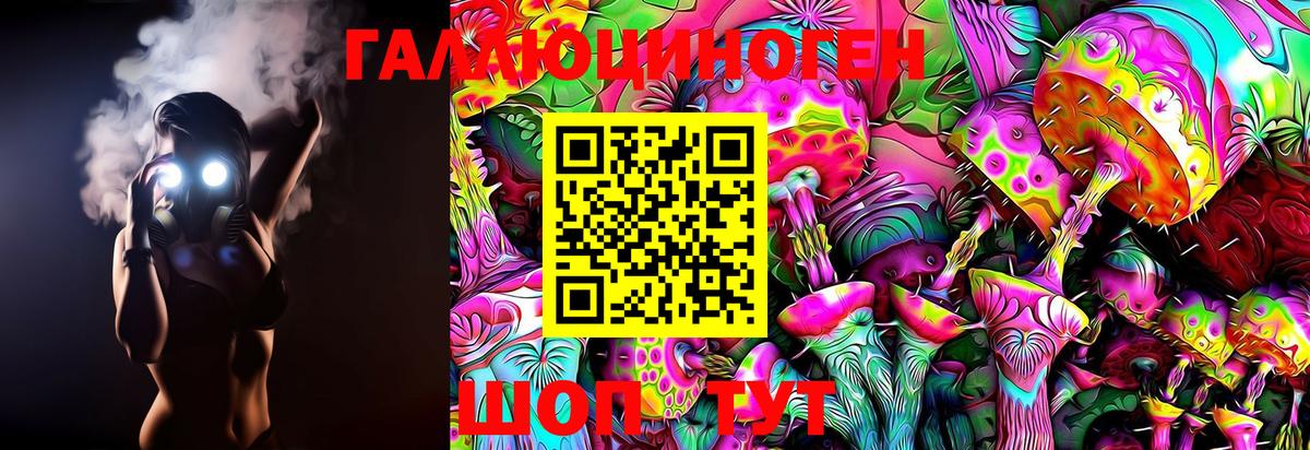 Псилоцибиновые грибы GOLDEN TEACHER  Псилоцибиновые грибы мицелий  Воскресенск 