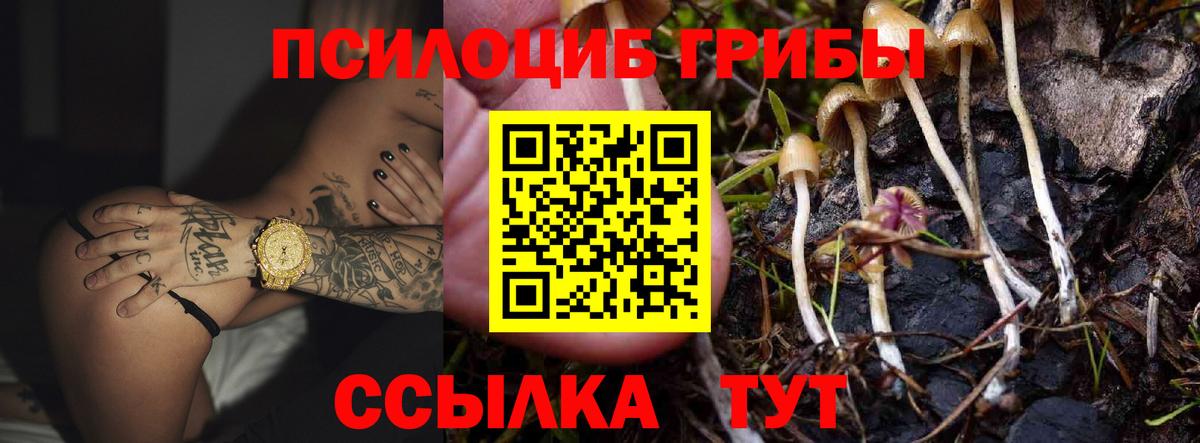 Галлюциногенные грибы GOLDEN TEACHER Воскресенск